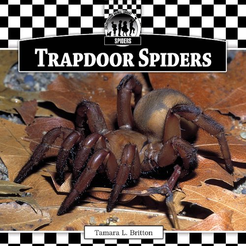 Beispielbild fr Trapdoor Spiders zum Verkauf von Better World Books