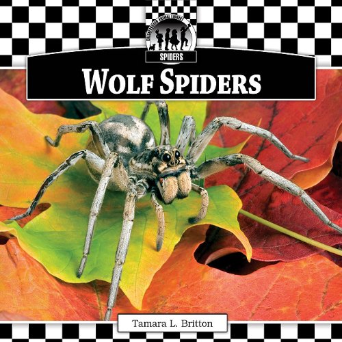 Imagen de archivo de Wolf Spiders a la venta por Better World Books: West