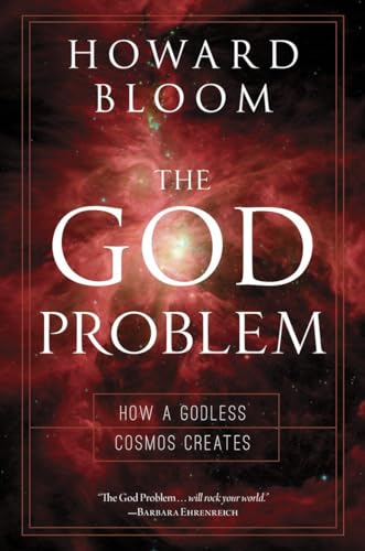 Beispielbild fr The God Problem: How a Godless Cosmos Creates zum Verkauf von Orion Tech