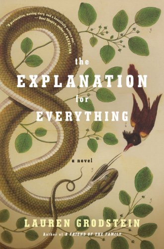 Beispielbild fr The Explanation for Everything: A Novel zum Verkauf von Gulf Coast Books
