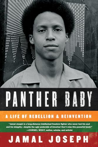 9781616201296: Panther Baby: A Life of Rebellion and Reinvention