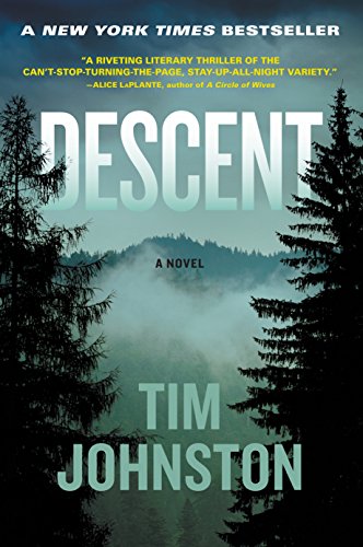 Imagen de archivo de Descent: A Novel a la venta por SecondSale
