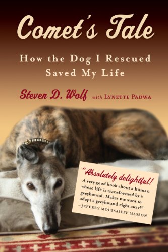 Imagen de archivo de Comet's Tale: How the Dog I Rescued Saved My Life a la venta por SecondSale