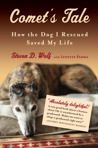 

Comets Tale: How the Dog I Rescued Saved My Life