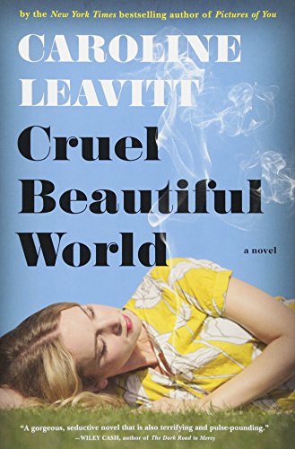 9781616203634: Cruel Beautiful World: A Novel