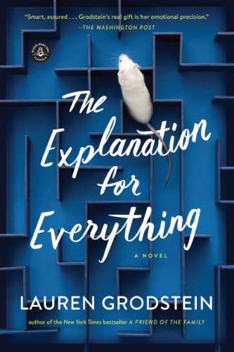 Imagen de archivo de Explanation for Everything: A Novel a la venta por SecondSale