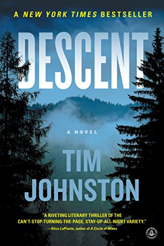 9781616204778: Descent: A Novel