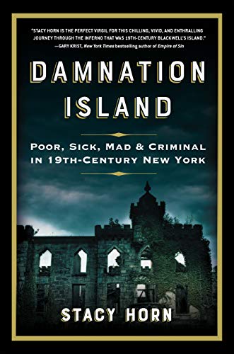 Stock image for Damnation Island: Poor, Sick, Mad, and Criminal in 19th-Century New York for sale by ZBK Books