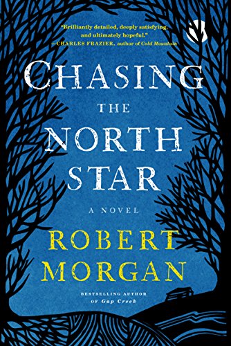 Beispielbild fr Chasing the North Star : A Novel zum Verkauf von Better World Books