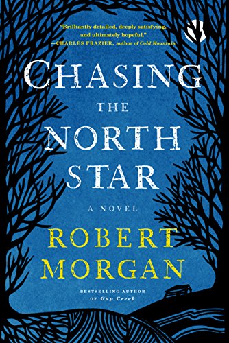 9781616206451: Chasing the North Star: A Novel
