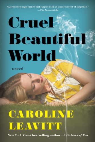 Beispielbild fr Cruel Beautiful World: A Novel zum Verkauf von Wonder Book