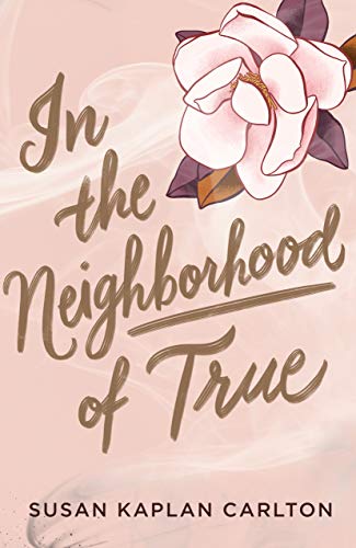 Stock image for In the Neighborhood of True for sale by ThriftBooks-Dallas