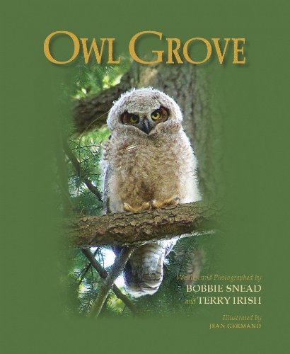 Stock image for Owl Grove for sale by Goodwill Books