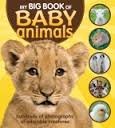 Imagen de archivo de My Big Book of Baby Animals a la venta por ThriftBooks-Dallas