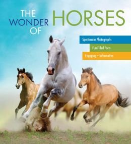 Stock image for The Wonder of Horses for sale by Gulf Coast Books