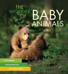 Beispielbild fr The Wonder of Baby Animals zum Verkauf von SecondSale