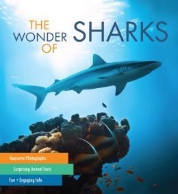 Stock image for The Wonder of Sharks for sale by Orion Tech