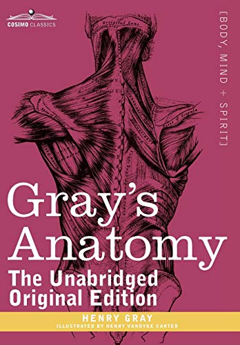 Beispielbild fr Gray's Anatomy: Descriptive and Surgical zum Verkauf von Books Unplugged