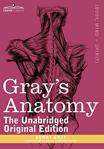 Stock image for Gray's Anatomy: Descriptive and Surgical for sale by Books Unplugged