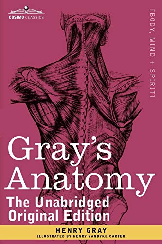 9781616404697: Gray's Anatomy: Descriptive and Surgical