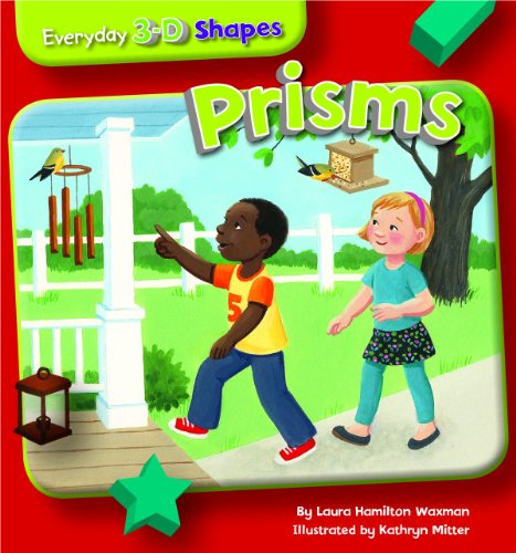 Stock image for Prisms for sale by Better World Books