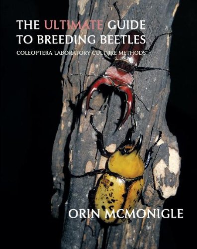 9781616461232: The Ultimate Guide to Breeding Beetles: Coleoptera Laboratory Culture Methods