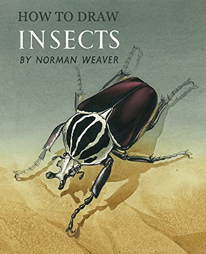 Stock image for How to Draw Insects (Facsimile Reprint) for sale by Russell Books