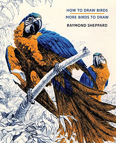 Stock image for How to Draw Birds / More Birds to Draw for sale by Russell Books