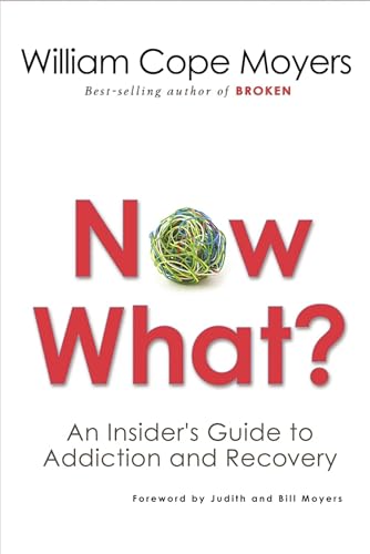 Beispielbild fr Now What?: An Insider's Guide to Addiction and Recovery zum Verkauf von More Than Words