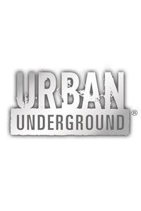 Urban Underground Complete Set (3 EA of 25 Titles) (Urban Underground (Quality)) (9781616518035) by Schraff, Anne