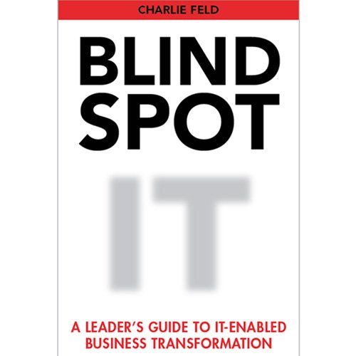 Stock image for Blind Spot: A Leader's Guide To IT-Enabled Business Transformation for sale by SecondSale