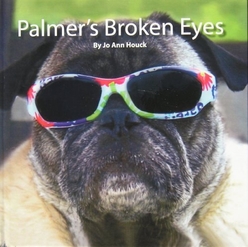 9781616585983: Palmer's Broken Eyes (The story of a blind pugs journey)