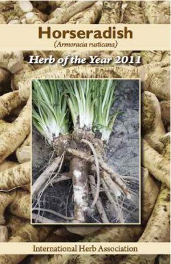 Stock image for Horseradish : Herb of the Year 2011 for sale by GoodwillNI