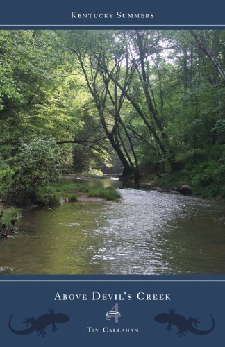 Immagine stock per Above Devil's Creek