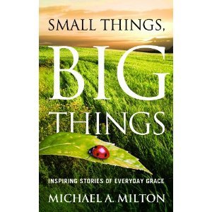 Stock image for Small Things Big Things : Inspiring Stories of Everyday Grace for sale by The Maryland Book Bank
