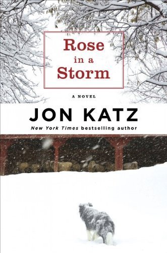 9781616647087: Rose in a Storm (Large Print)