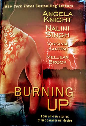 9781616647117: Burning Up (Four all-new stories of hot paranormal desire)