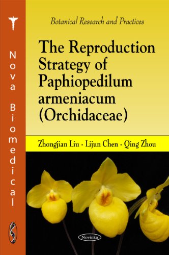 The Reproduction Strategy of Paphiopedilum Armeniacum Orchidacae (9781616682057) by Liu, Zhongjian; Chen, Lijun; Zhou, Qing