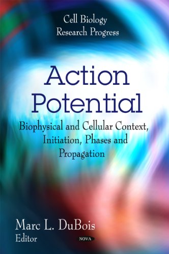9781616688332: Action Potential: Biophysical and Cellular Context, Initiation, Phases and Propagation: Biophysical & Cellular Context, Initiation, Phases & Propagation