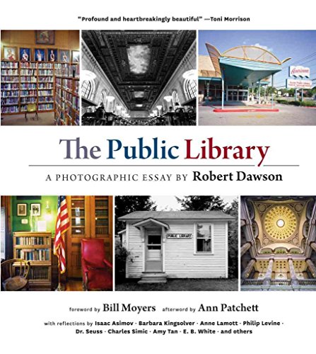 Imagen de archivo de The Public Library: A Photographic Essay a la venta por 369 Bookstore