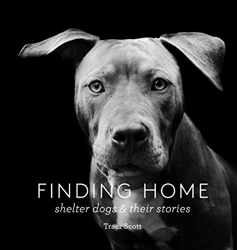 Stock image for Finding Home: Shelter Dogs and Their Stories (A photographic tribute to rescue dogs) for sale by HPB Inc.