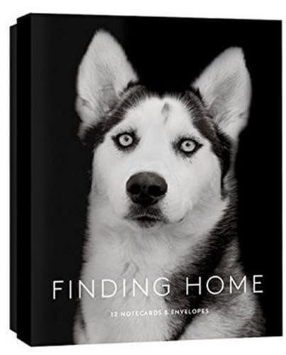 9781616895228: Finding Home Notecards: 12 Notecards & Envelopes