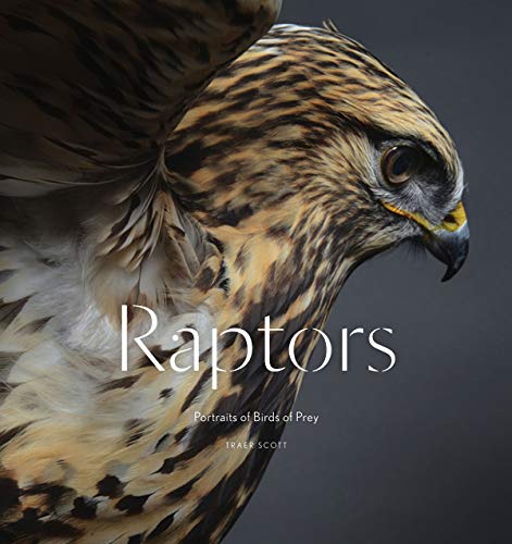 Beispielbild fr Raptors: Portraits of Birds of Prey (Bird Photography Book) zum Verkauf von Bookoutlet1