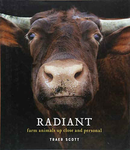 Beispielbild fr Radiant: Farm Animals Up Close and Personal (Farm Animal Photography Book) zum Verkauf von Bookoutlet1