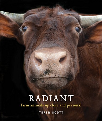 9781616897154: Radiant: Farm Animals Up Close and Personal (Farm Animal Photography Book)