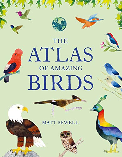 Stock image for The Atlas of Amazing Birds: (fun, colorful watercolor paintings of birds from around the world with unusual facts, ages 5-10, perfect gift for young birders and naturalists) for sale by SecondSale