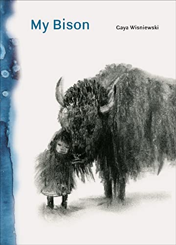 Stock image for My Bison for sale by Bookoutlet1