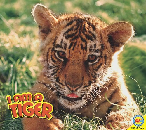 Stock image for I am a Tiger for sale by Irish Booksellers