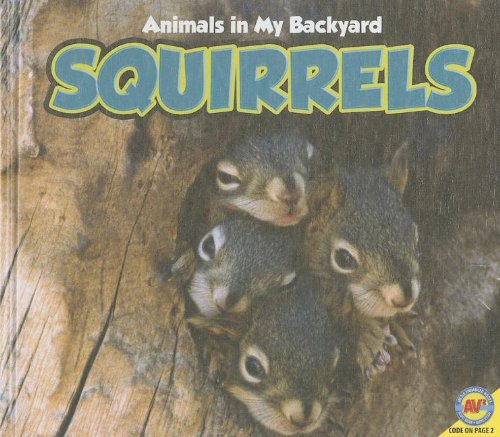 9781616909314: Squirrels (Animals in My Backyard)