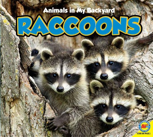 Imagen de archivo de Raccoons a la venta por Better World Books